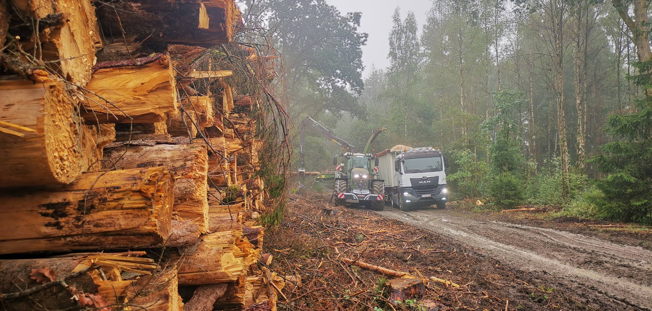 Un tracteur et un camion d'Ernagri, entrain de travailler dans une forêt